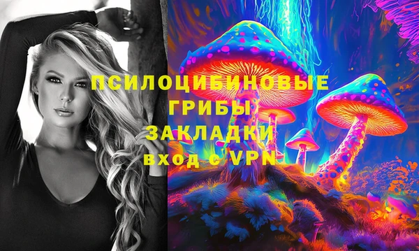 прущая мука Алзамай