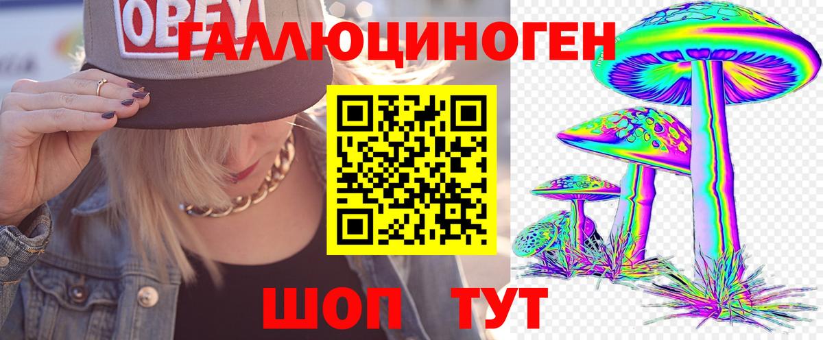 Псилоцибиновые грибы Psilocybe Сосновоборск